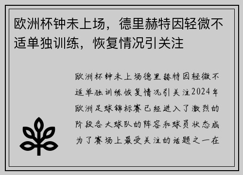 欧洲杯钟未上场，德里赫特因轻微不适单独训练，恢复情况引关注